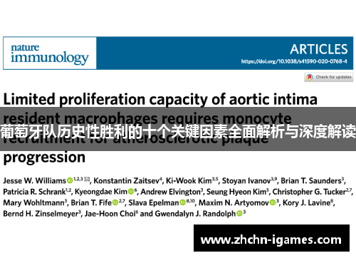 葡萄牙队历史性胜利的十个关键因素全面解析与深度解读
