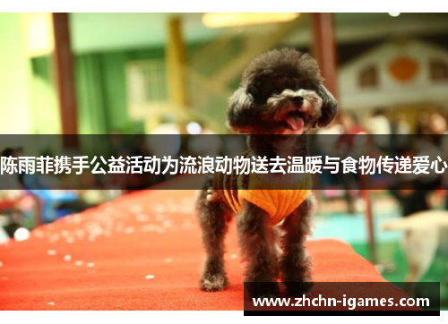 陈雨菲携手公益活动为流浪动物送去温暖与食物传递爱心