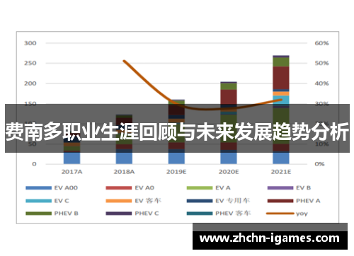 费南多职业生涯回顾与未来发展趋势分析