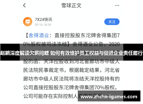 赵鹏深度解读欠薪问题 如何有效维护员工权益与促进企业责任履行